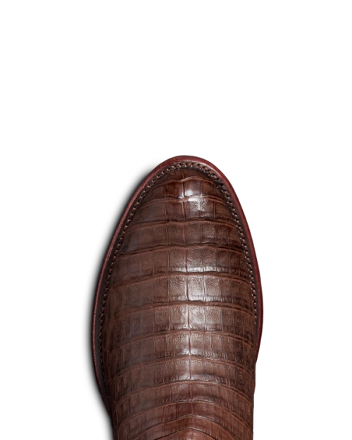 869970239502dc6a57a7ca6374befa4f6c345d1f-2000x2500-2.png