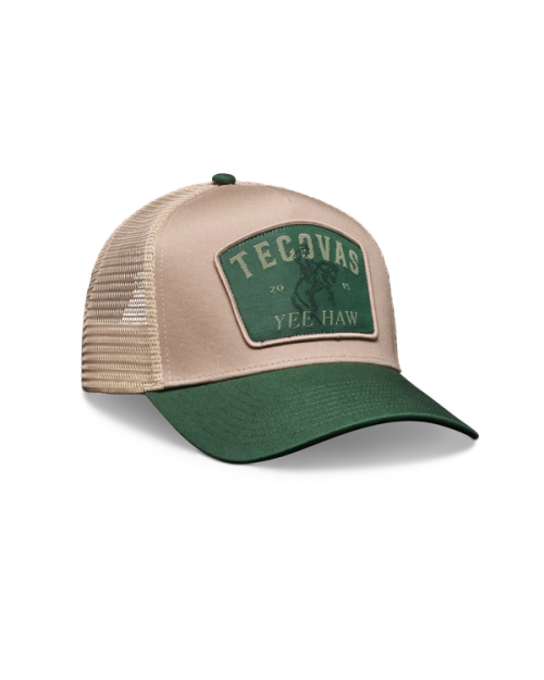 c1c80406c95464dab04c20c747f4d87ab105efcf-2000x2500-2.png